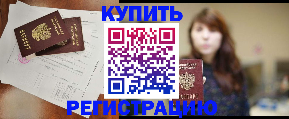 прописка поиск в Дмитрове